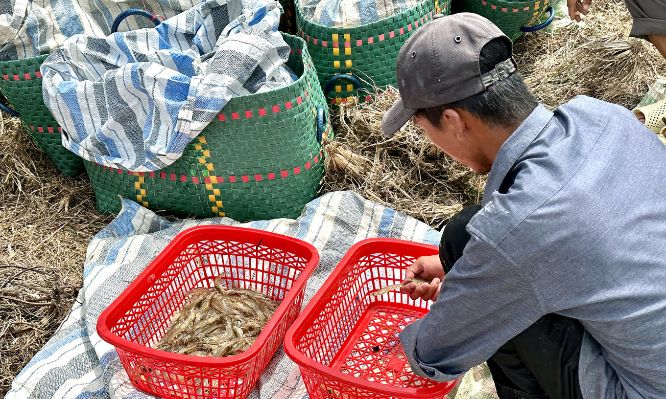 Xuất khẩu thủy sản trông vào nửa cuối năm