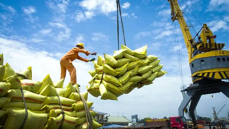 Tăng cường các giải pháp thúc đẩy sản xuất, xuất khẩu gạo